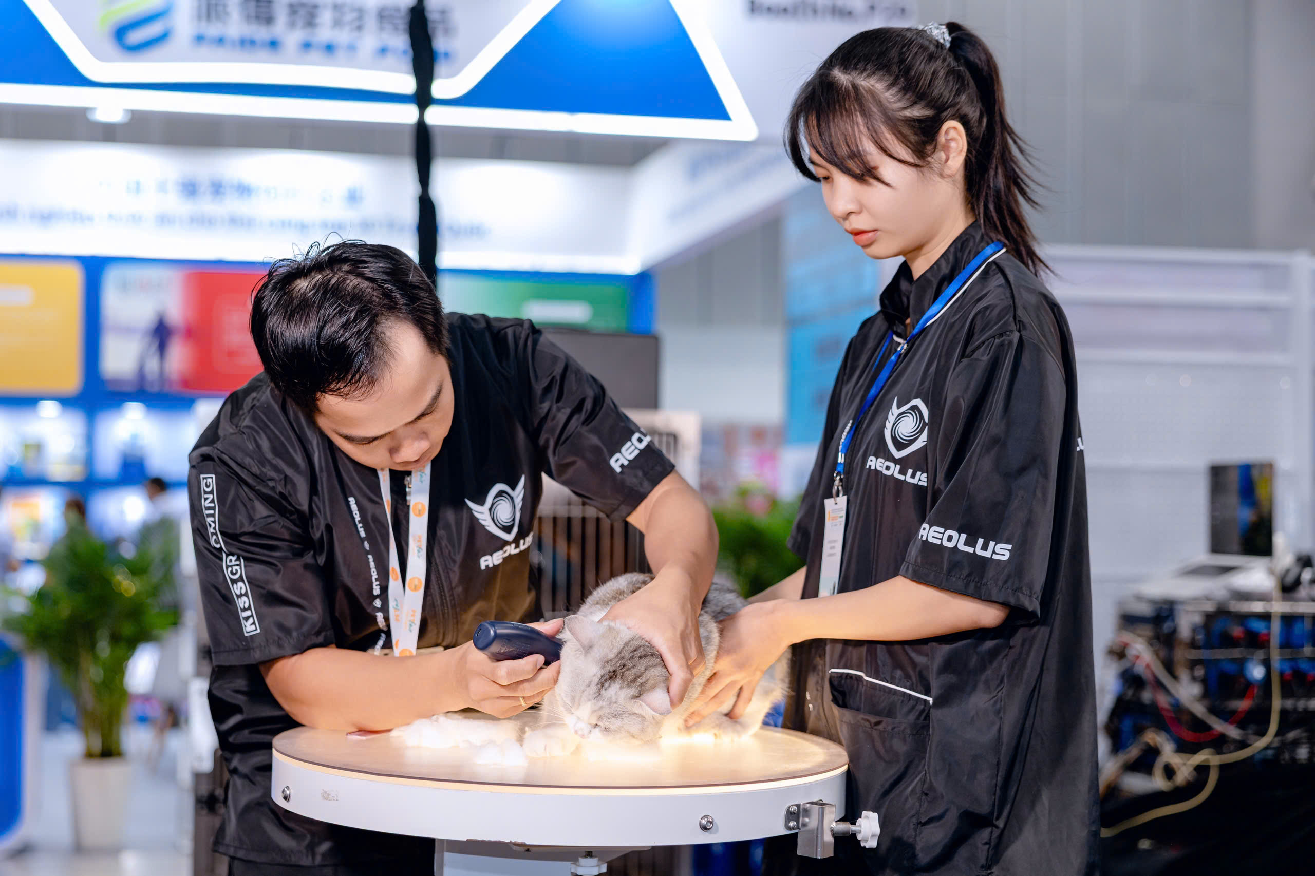 Pet Spa Cao Lãnh – Địa Chỉ Tắm, Cắt Tỉa Lông Chó Mèo Được Nhiều Sen Lựa Chọn