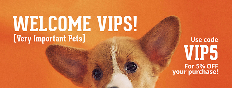 Gia Khanh Pets
