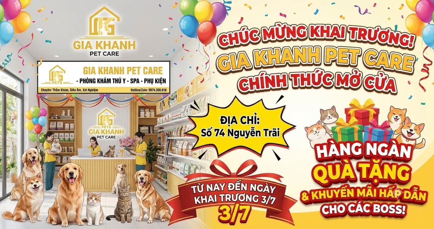 THÚ Y CAO LÃNH – ĐỊA CHỈ KHÁM CHỮA BỆNH, CHĂM SÓC CHÓ MÈO ĐƯỢC NHIỀU CHỦ NUÔI QUAN TÂM