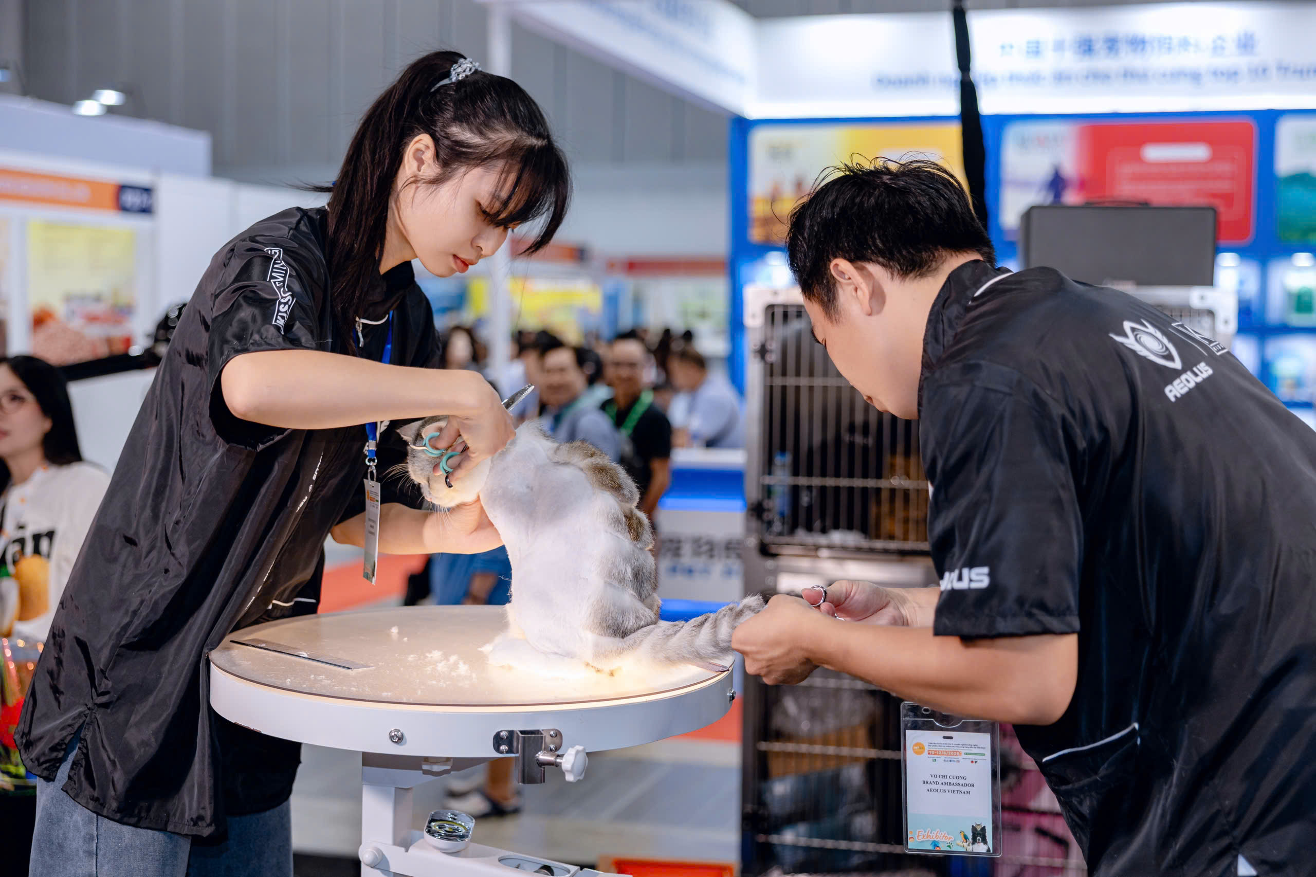 GIẢI ĐÁP THẮC MẮC